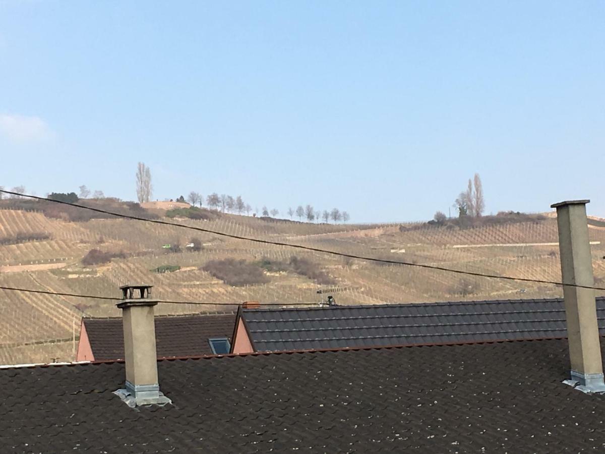 Gite Faubourg Des Pierres Sigolsheim Bagian luar foto